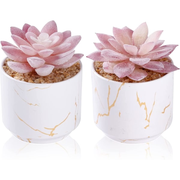 Suckulenta konstgjorda växter, söta falska suckulenter i 2 vita keramikkrukor, små falska växter för kontorsinredning, skrivbordsinredning, badrum, sovrum, hyllinredning