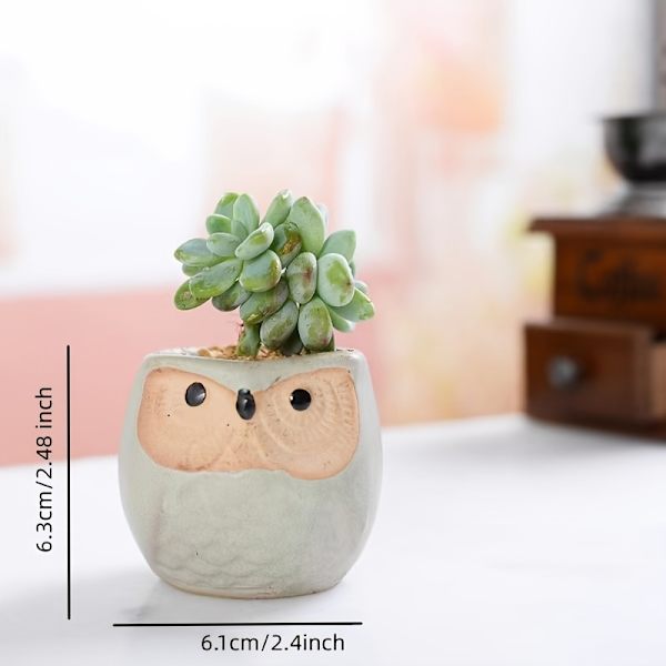 6-pack Uggla Kruka Keramik Flytande Glasyr Bas Serie Set Succulent Växtkruka Kaktus Växtkruka Blomma Kruka Behållare Planterare Med Dränering