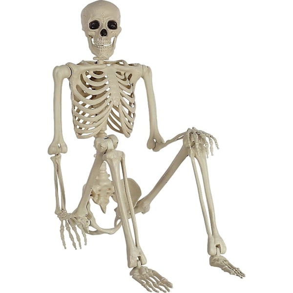 Halloween-skelett, Halloween-dekorationer Skalle, 16\" Full Body Realistisk Faux Mänskligt Skelett, Halloween-dekor för hemsökta husrekvisita