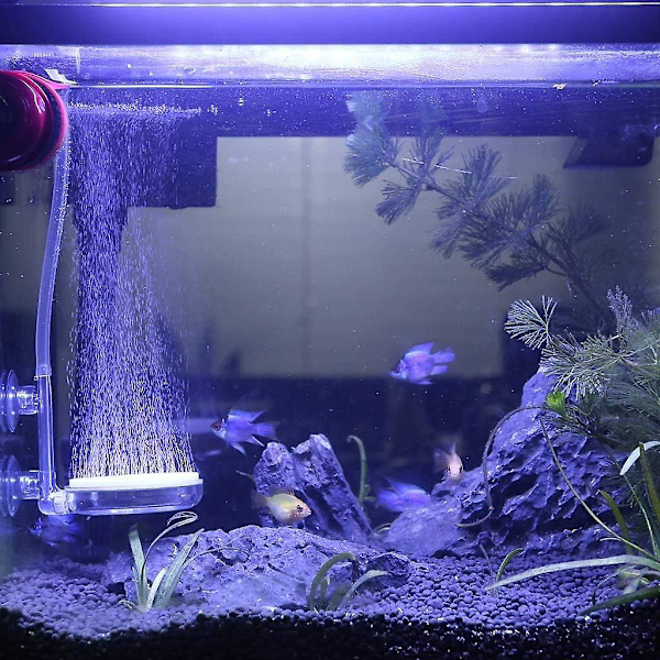 (60 mm) Akvarium Luftsten, Luftspreder til Akvarier, Boblesten Brugt i Akvarier og Hydroponiske Pumper med Kontrolventil og Sugekopper