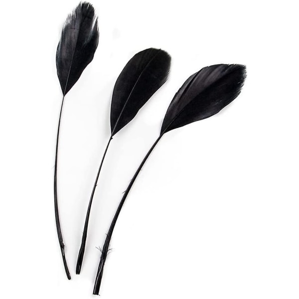 Naturlige sorte fjer til hattefremstilling, fascinatorer, dekoration, strippede coque-fjer, pakke med 50 (sort)
