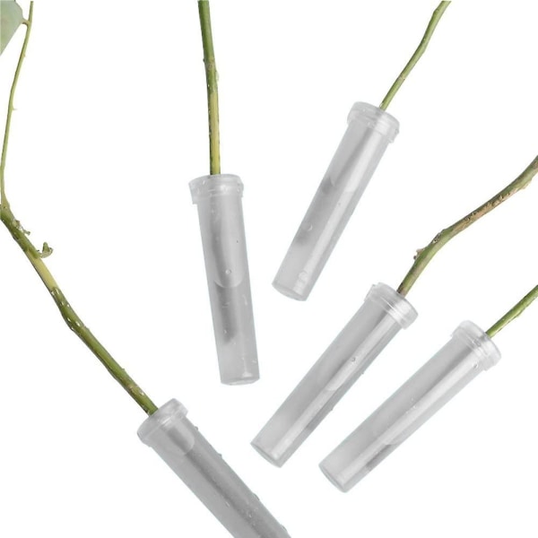 20 st klara plastblomvattenrör blomrör för blomsterarrangemang