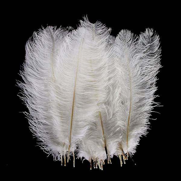10-12 tommer (25-30 cm) Naturlige Strudsefjer til Bryllupsdekorationer, Boligindretning, Blomsterarrangement, DIY Julepynt (10 stk., hvid)