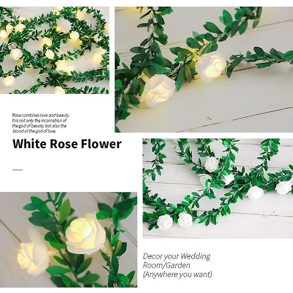 40 LED-stränglampor blomma fe-lampor blomma lykta usb batteridriven girlang bröllopsdekorations vinlampor för alla hjärtans dag fest White Box 1.5m 10led