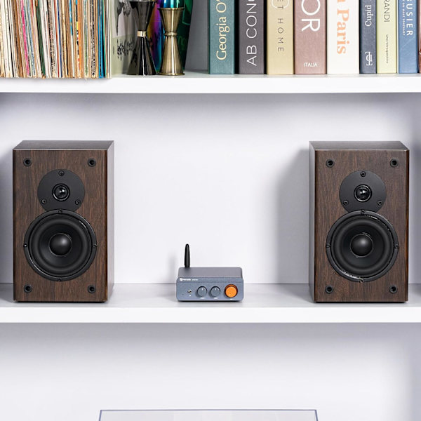 BT20A Pro 300W x2 TPA3255 Bluetooth 5.0 Hjemme Audio Stereo 2 Kanal Forstærker Receiver Mini Hi-Fi Klasse D Opgraderet Integreret Forstærker