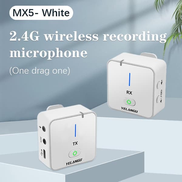 Bærbart 2.4G Mikrofonsett 2 Sender + Mottaker Trådløs Lavalier Mikrofon med Klips Black