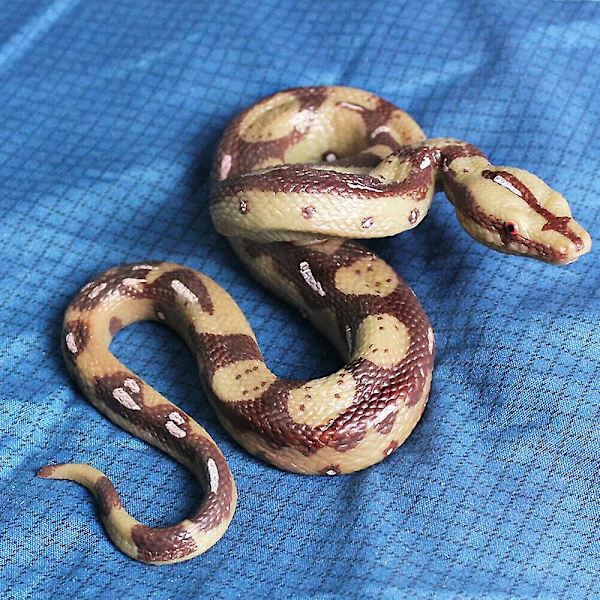 Høj Simulation Python Stor Realistisk Slange Drilsk Uhæggelig Spøg Skræmmende Slange Legetøj