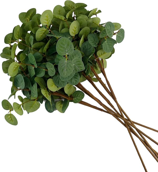 6 Bundter Kunstige Silke Eukalyptus Stængler, adskillelig Sølv Dollar Eukalyptus Eucalyptus Stems