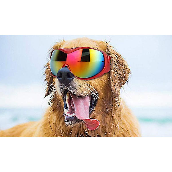 UV Solbriller til Store og Mellemstore Hunde red