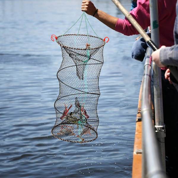 30x60cm Krabbeteine, Sammenleggbar Fiskenettbur, Rund Sammenfoldet Bærbar Krepseteine med Nylon Tau for Fiske Fisk Reker Fiske Utendørs