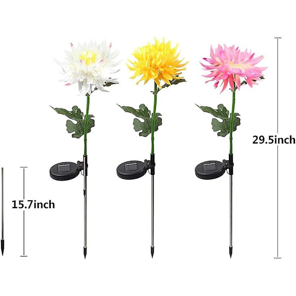 Udendørs solcelle havelys, 3 pak solcelle krysantemum blomsterlys, vandtætte LED solcelle dekorative lys til havegangsti