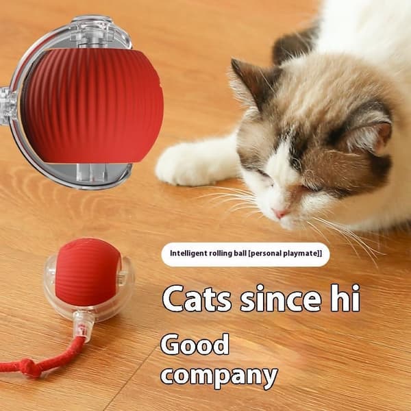 Interaktiv Hundebold, Smart Boldbold Interaktivt Kattelegetøj, Kattelegetøj til Indendørs Katte Killinger til Katte Hunde USB Genopladelig grå