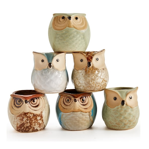 6-pack Uggla Kruka Keramik Flytande Glasyr Bas Serie Set Succulent Växtkruka Kaktus Växtkruka Blomma Kruka Behållare Planterare Med Dränering