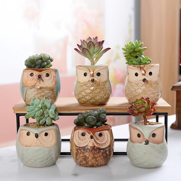 6-pack Uggla Kruka Keramik Flytande Glasyr Bas Serie Set Succulent Växtkruka Kaktus Växtkruka Blomma Kruka Behållare Planterare Med Dränering