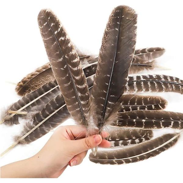 17 stk. Naturlige Kalkunfjer 25-30 cm (10-12 tommer) Kalkunfjer til Håndværk DIY Hovedbeklædning Festdekorationer