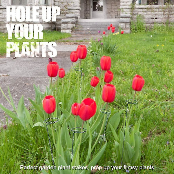 6-pack växtstöd för blommor, metallstöd för enstaka stjälkar, trädgårdsstöd för amaryllis, orkidé, lilja, ros, tomater, mörkgrönt