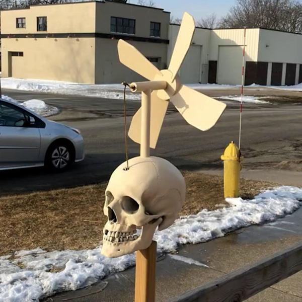 Til Hjem og Have Kranie Festartikler Udendørs Dekorationer Metal 3d Halloween Resin Jern Unikke Gaver White