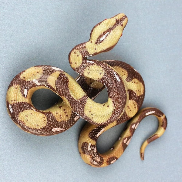 Korkealaatuinen simulaatio Python Iso Realistinen Käärme Hankala Karmiva Kepponen Pelottava Käärmelelu