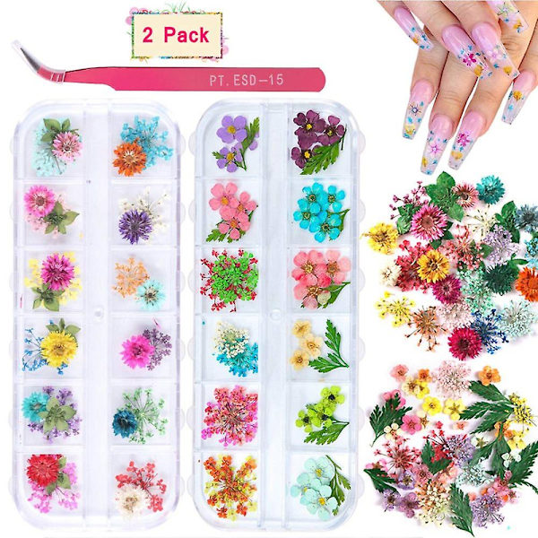 2 lådor torkade blommor för nagelkonst, 24 färger torkade blommor mini riktiga naturliga blommor nagelkonst tillbehör 3d applikation nageldekoration klistermärke för tips man