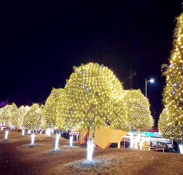 LED Fe Net Lys Til Julefrokost Dekoration Warm White