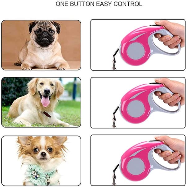 Rulleliner til Hunde, 5m Rulleline til Hunde, Flexi Rulleline til Hunde