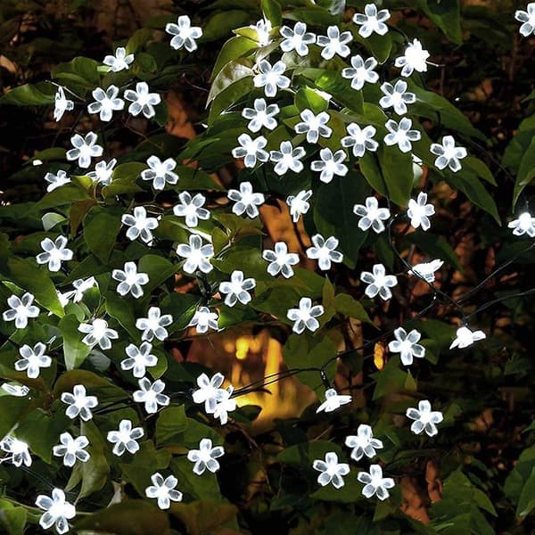 Solcelle Lanterne, 23ft/7m 50led Ferskenblomst Solcelle Dekorations Lys Kæde Til Udendørs Have white
