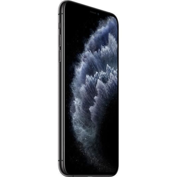 APPLE iPhone 11 Pro Max 64 GB Sideral Grå - Renoverad - Utmärkt skick - Refurbished Grade A+ Rymdgrå