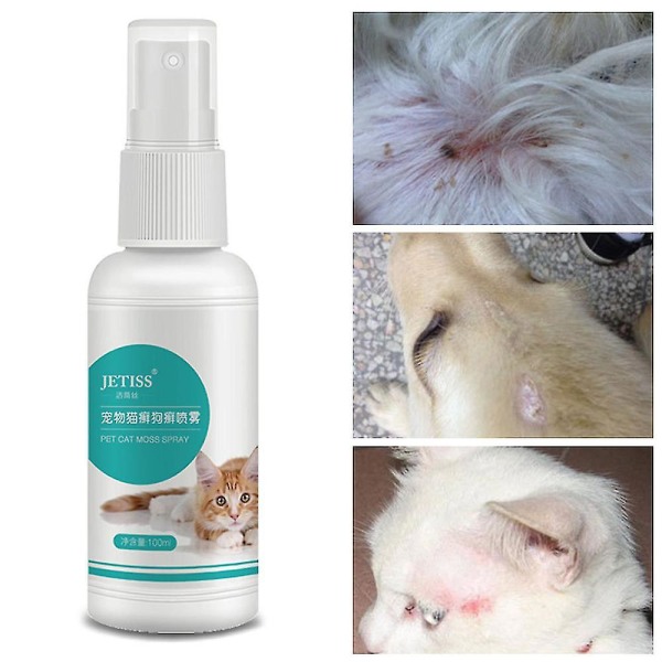 Standard husdjur katt hund ringorm behandling spray husdjur hund hudvård  spray extern användning z33223 3d47 | Fyndiq