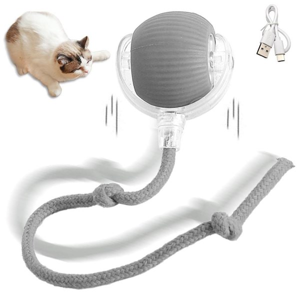 Interaktiv Kattleksaksboll SuperDrive Cat RollingBalls 2024 HOT med-Fågel J6D9