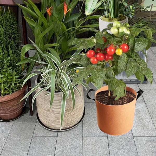 Odla Påsar för Växter, Filt Planteringskrukor för Inomhus & Utomhus Trädgård 1 gallon 1pcs