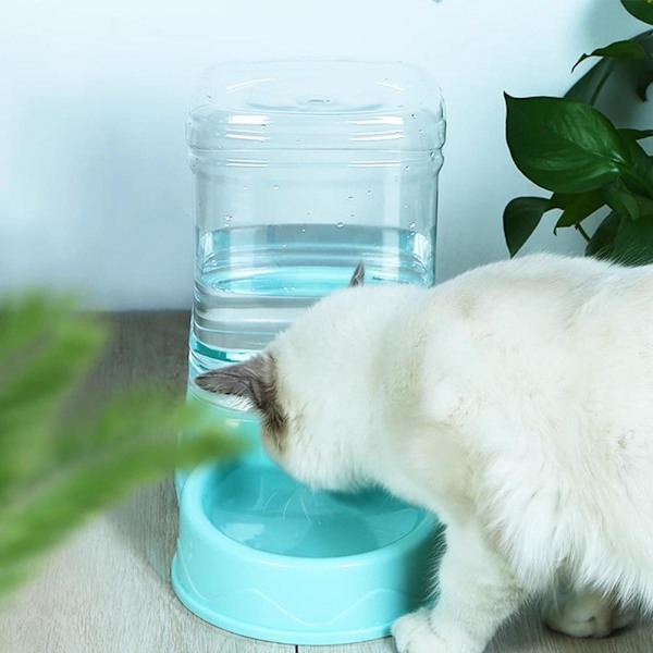 Automatisk kattmatskål vattenfontän automatisk matare automatisk matare risskål matskål för T8i9  blue B