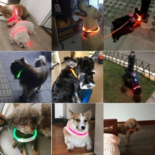 LED Hund Ljushalsband Husdjurstillbehör USB Uppladdningsbar Outdoor Walk orange 50CM