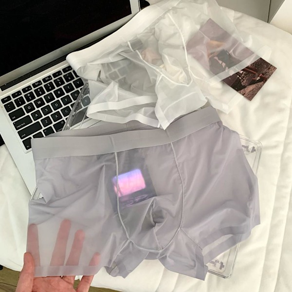 Sexiga genomskinliga boxershorts för män, sömlösa, se-igenom, is-silke under Gray 2XL