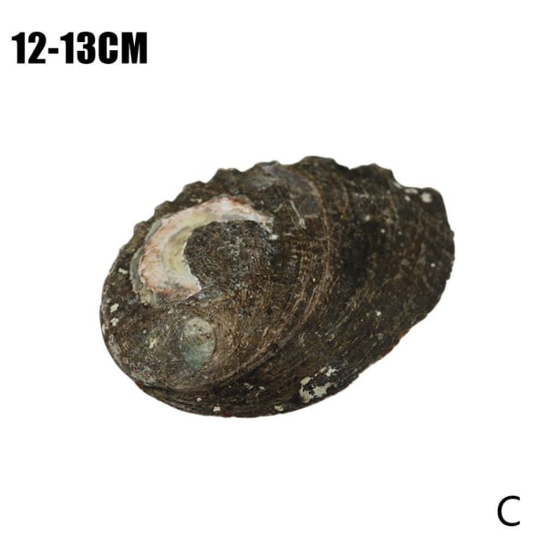 Stort naturligt Abalone Shell Smudging Lugnande energidekor Hem Black-brownA 10-11cm