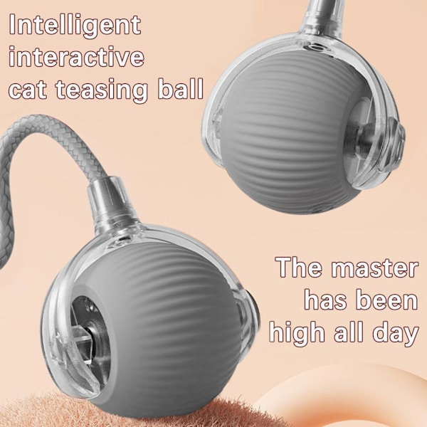 Interaktiv Kattleksaksboll SuperDrive Cat RollingBalls 2024 HOT med-Fågel J6D9
