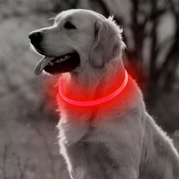 LED Hund Ljushalsband Husdjurstillbehör USB Uppladdningsbar Outdoor Walk orange 50CM