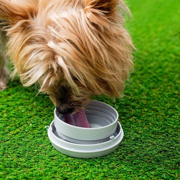 Låt för hund retraktil 6 i 1 InnovaGoods Leashic mörkgrå