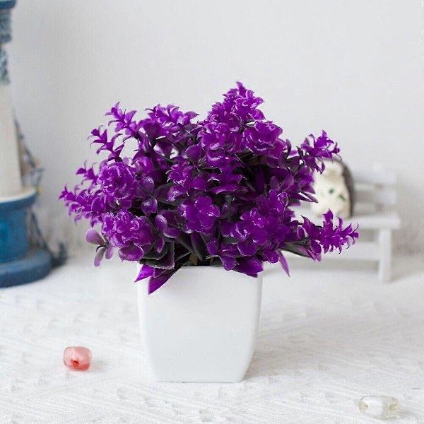 Laadukas bonsaipuu tyylikkäällä muotoilulla ruokailu- ja toimistosisustukseen Fuchsia