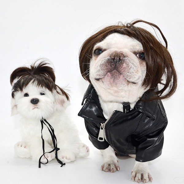 HSLUS Hunde parykk Dyre parykk Morsom Cosplay Kostyme SLIM Rekvisitter Fest Tilbehør Halloween Jul (Svart Dreadlocks)