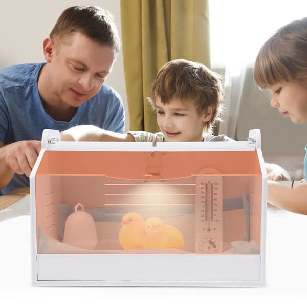 Egg Incubator, Large Capacity for 20 Chicks, Infinitely Dimmable Sun Lamp, WHITE