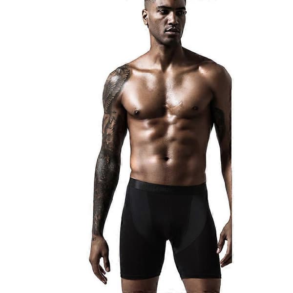 Mænds ultrabløde mesh hurtigtørrende sportsundertøj åndbare boxer briefs sort black L