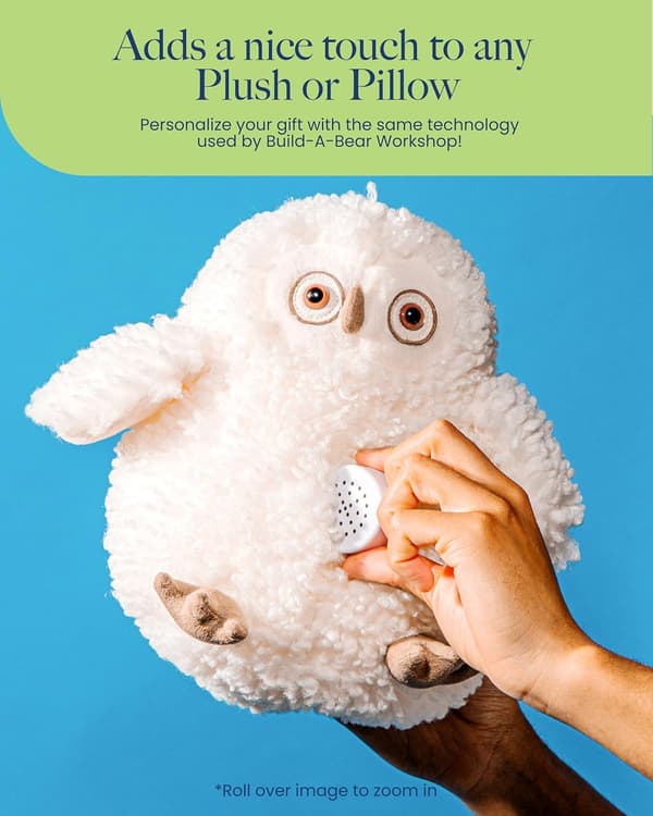 【CJY】30 Second Voice Recorder (2-pack) – Record a personalized message for a stuffed animal, teddy bear, doll