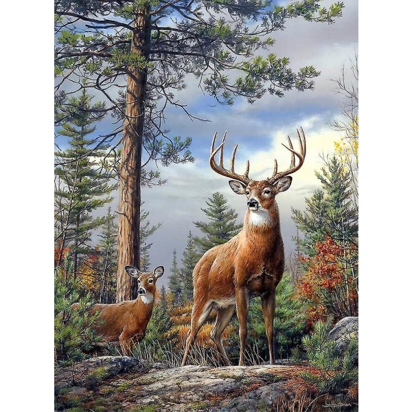 30x40cm Vuxna barn 5d DIY set - Deer In The Woods, Full Diamond Brodery Cross Stitch Crafts, Canvas Crystal Rhinestone