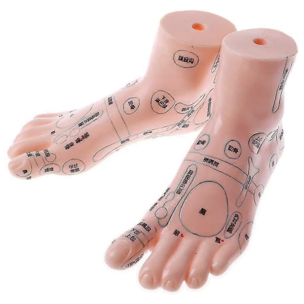 20 cm mänsklig massagefotsmodell akupunkturzonterapi för skolundervisningsmaterial samlarobjekt CJY