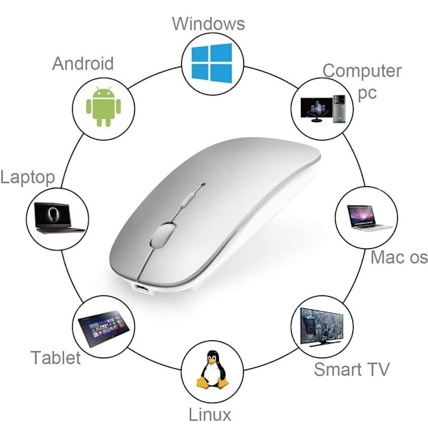 Bluetooth-mus för Laptop/iPad/iPhone/Mac (iOS 13.1.2 och senare) - Rymdsilver