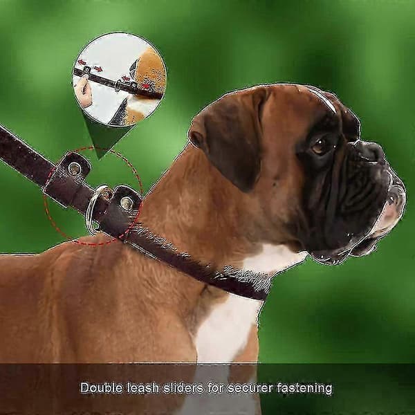 Flat Leather Leash, Adjustable Dog Training Leash with Secure Slider CJY