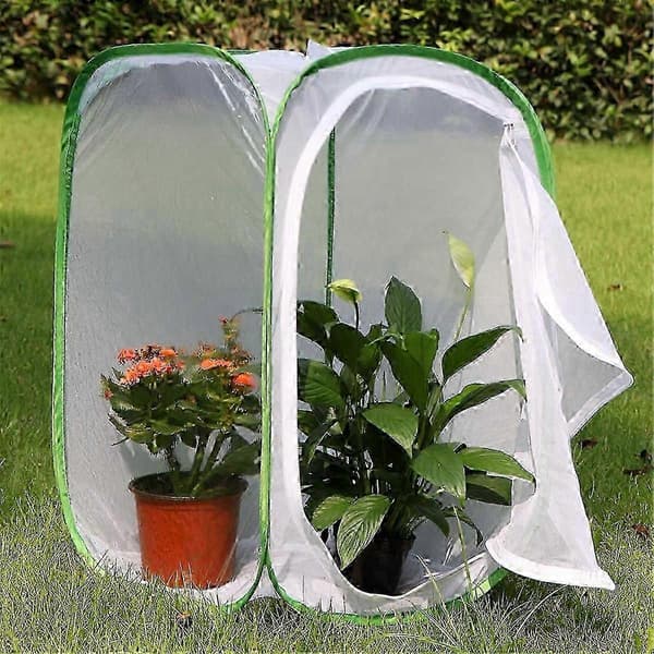 2-pack insekts- och fjärilshabitatbur