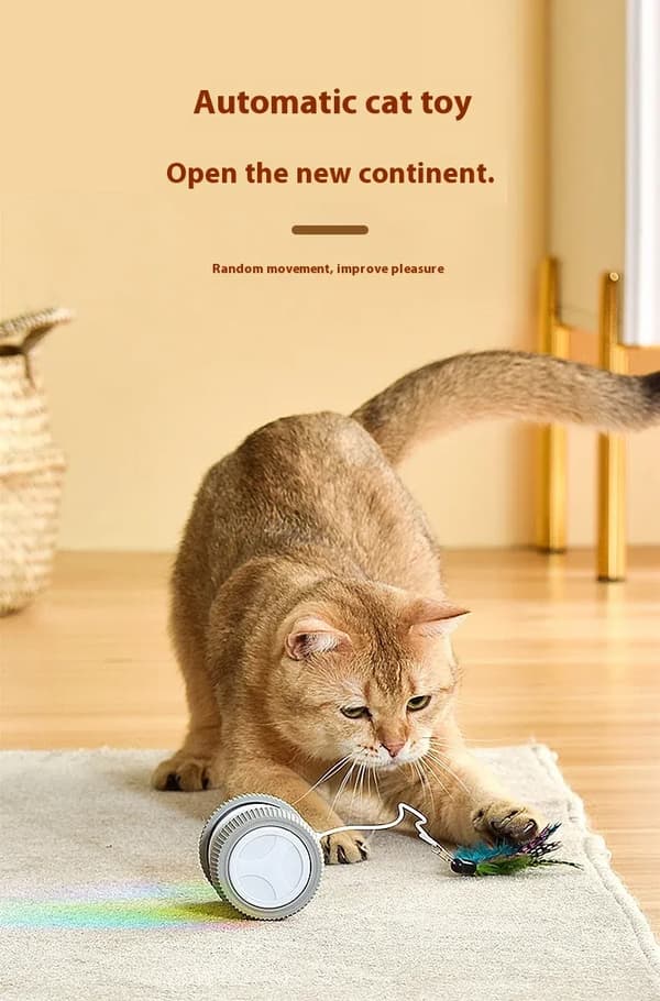 Electric Cat Toy - Phoesky - Rechargeable - Rolling Wheel with Lights - Interactive Training