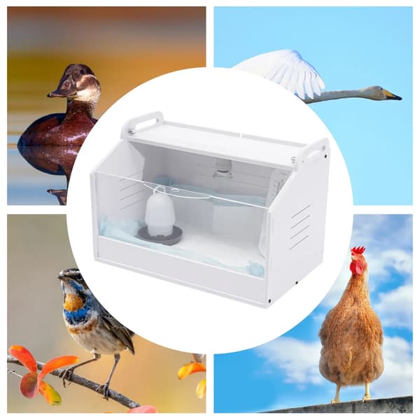 Egg Incubator, Large Capacity for 20 Chicks, Infinitely Dimmable Sun Lamp, WHITE