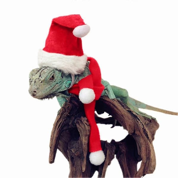 Kyllinge kæledyr julesæt julehat tørklæde sæt kæledyrstilbehør